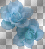 blue flowers