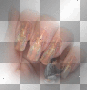ongle ongle