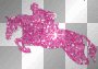 Pink Glittery Jumping Horse