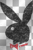 playboy