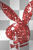 Playboy Bunny