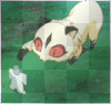 Kirara: 'Go SQUISHY!! X3'