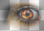 oeil