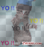 YO!!