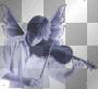 Violin Fairy