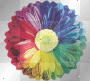 rainbow flower