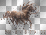NON A L' HIPPOPHAGIE!!!!!!!!!!!!!!!!!!!!!!!!!!!!!!