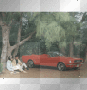 T'Grams Cars