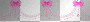 Pink Bow Divider