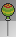 lollii