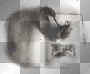 Real Vampira creation(Marika6)