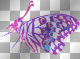 Butterfly (left) **db**