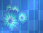 blue flowers
