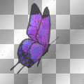 Animated Rainbow Butterfly (left)  **db**