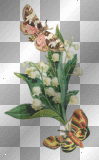 Flowers & Butterflies (right) **db**