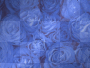 blue roses