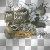 The Perfect Man...LoL  **d/n/b/**