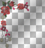 frame border