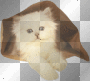 Cute Bag Cat  **d/n/b/**