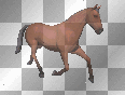 trotting horse