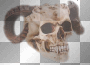 rvc/devil scull