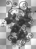 BLACK FLOWERS