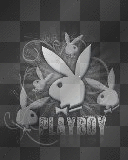playboy