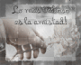Amistad Amistad