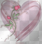 rose love