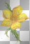 yellow flower
