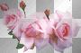 fleurs