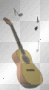 Meine Guitare!