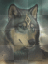 Mystical wolf