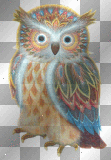 Colorful Owl  **d/n/b/**