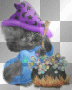chaton halloween chaton halloween