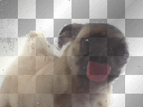 lick screen graphics cliparts stamps stickers p 1 of 2