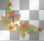 VINTAGE FLOWER BORDER