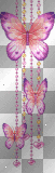 pink butterfies