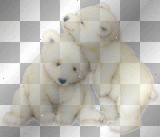 Polar Bear Babies