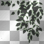 BORDER CORNER GREEN