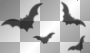 bats