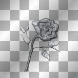 Black Metal Rose silver