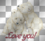 Cute Bears 