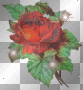 rose pink scintillant glitter rose pink scintillant glitter