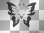 black white butterfly