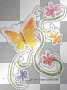 butterfly flowers