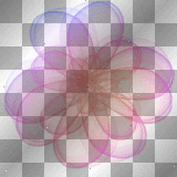 Transparent flower 