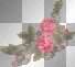 les roses 