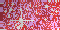 pink and red glitter