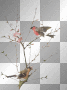 bird bird